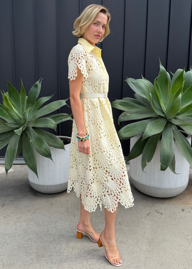 Robin Belted Short Sleeve Lace Midi Dress Benaar LA Robin Belted Short Sleeve Lace Midi Dress Benaar LA