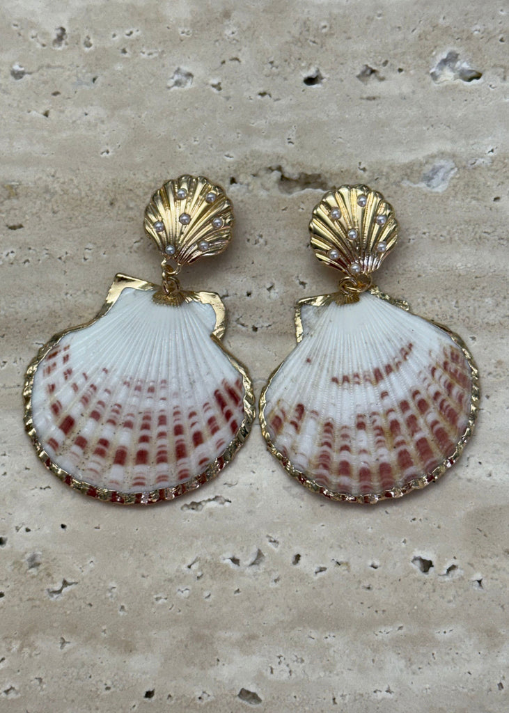 Shell-shaped earrings with gold accents on a textured surface