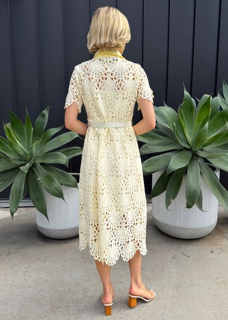 lace midi dress short sleeve LEO LIN - Caroline Lace Short Sleeves Midi Dress
