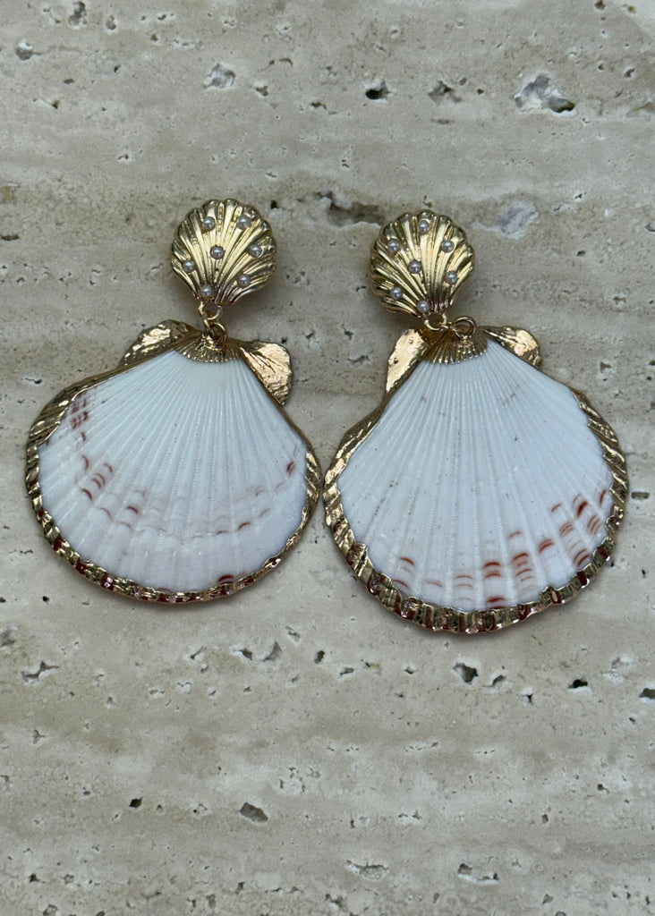 Shell-shaped earrings with gold accents on a textured surface