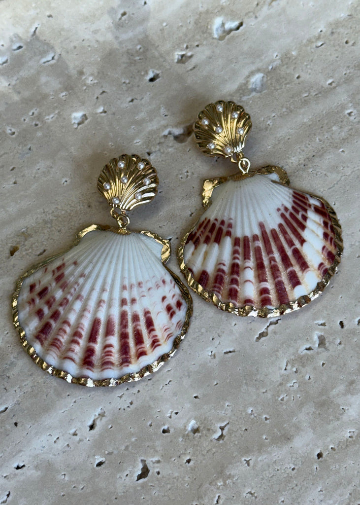 Shell-shaped earrings with gold accents on a textured surface